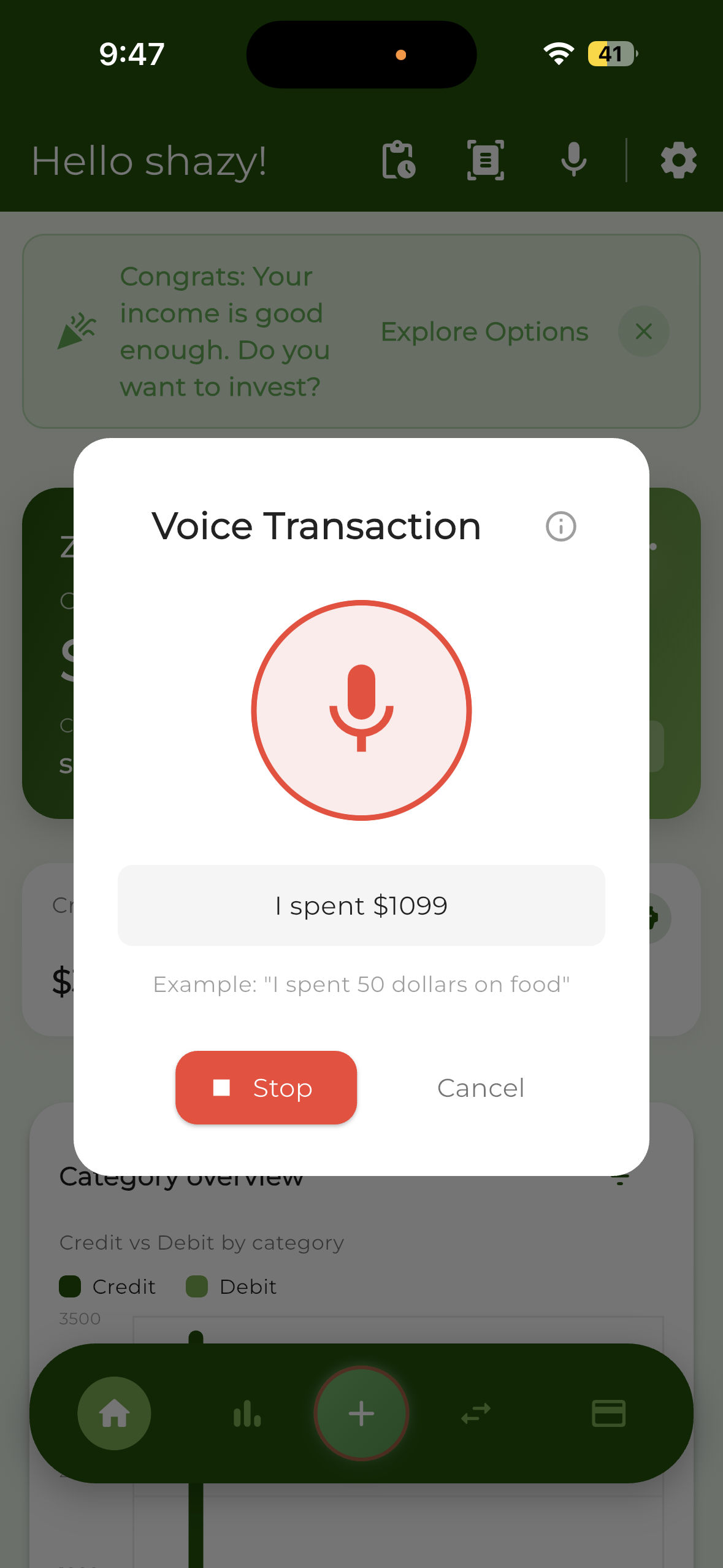 Zenpense voice transaction entry screen